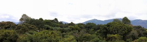 bogotá panorama botanical garden