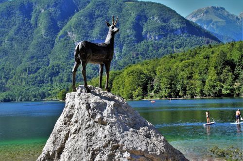 bohinj lake bohinj julian alps