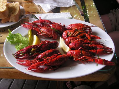 boiled crayfish crawfish food