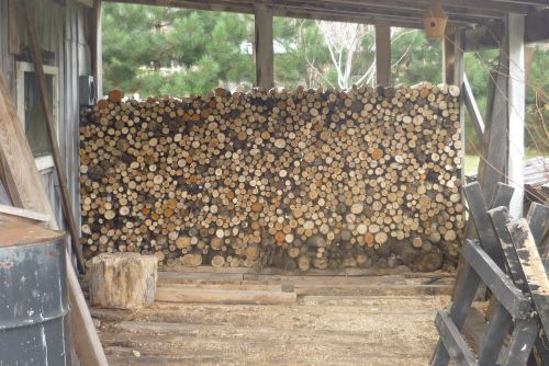 Firewood # 1