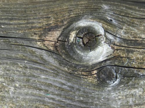 Barn Wood (4)