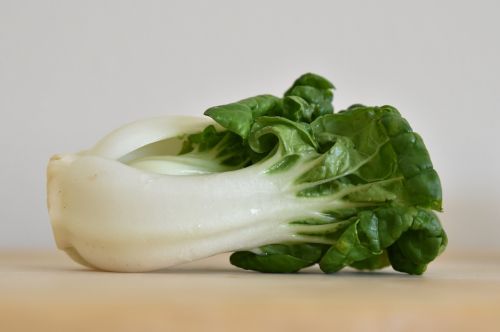 bok choy vegetable green