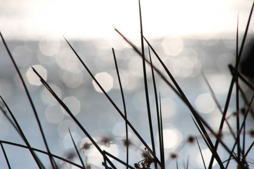 bokeh lake sun