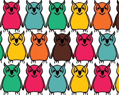 Bold Colored Owl Background