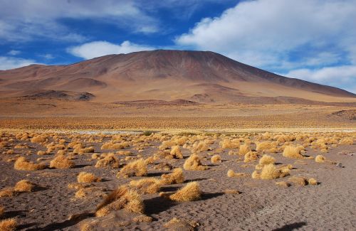 bolivia laguna desert