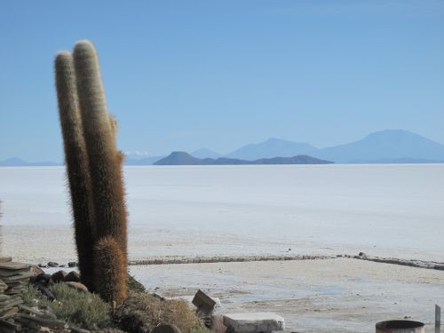 bolivia island salt