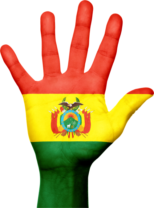 bolivia flag hand
