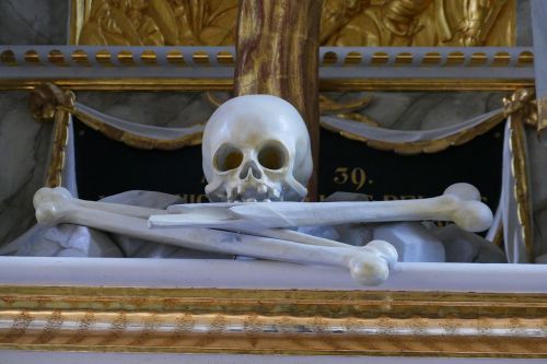 bone skull skull and crossbones