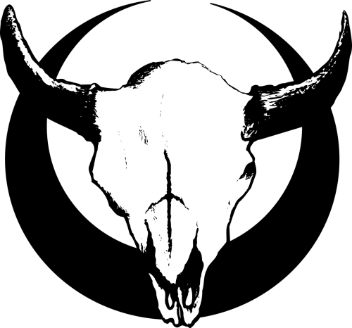 bones bull cow