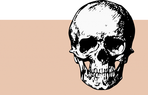 bones skull death