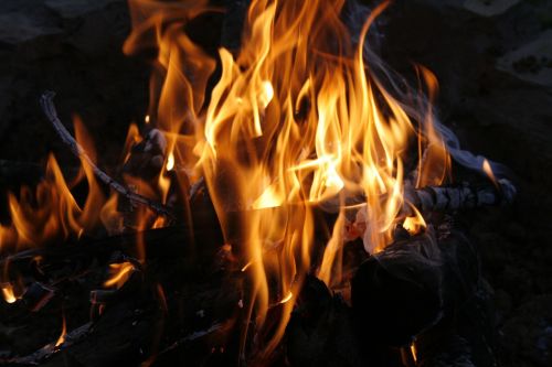 bonfire flames wood
