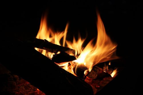 bonfire wood night