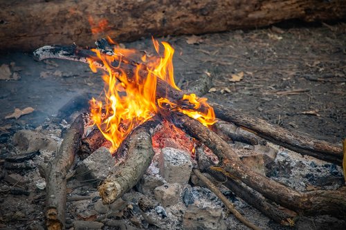 bonfire  fire  firewood