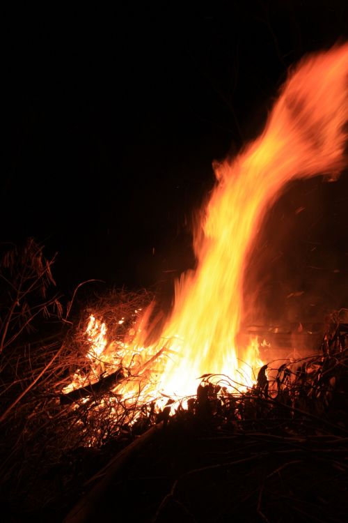 Bonfire Plume