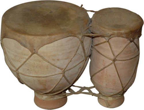 bongo musical instrument percussion instrument