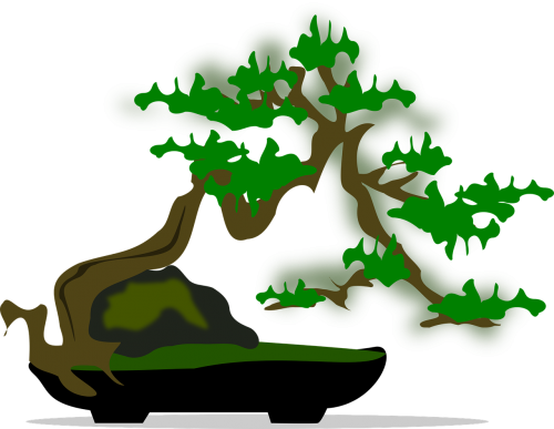 bonsai clip art flora