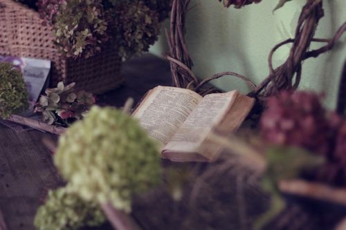 book flowers life