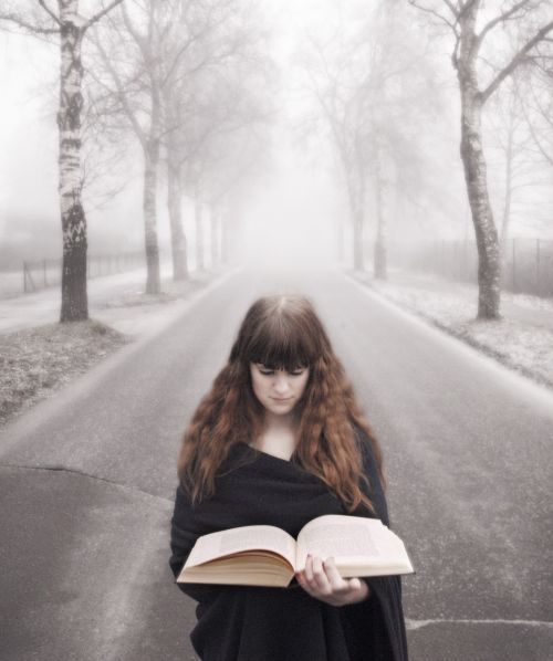 book fog girl