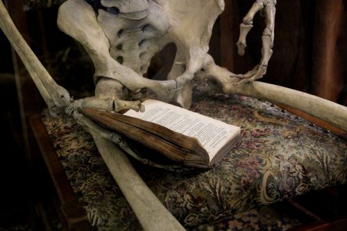 book reading skeleton