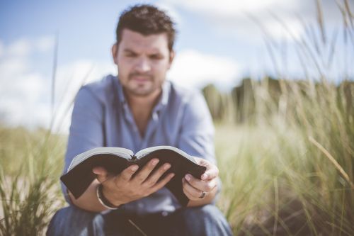 book grass knowledge