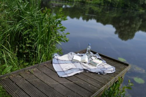 book picnic park