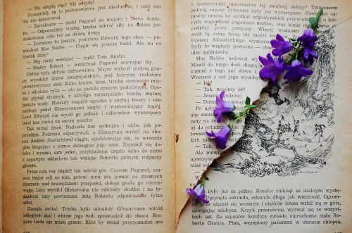book old book flower