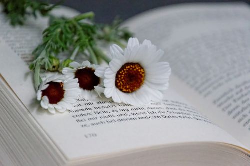 book flowers read