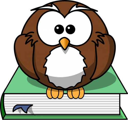 book owl wisdom
