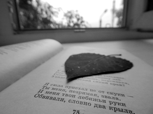 book  black and white  still life