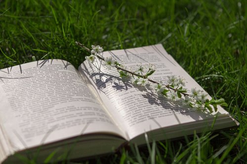 book  grass  nature