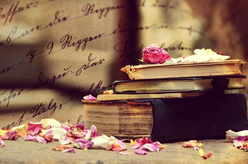 book  rose petals  artistic