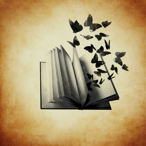 book butterflies freedom