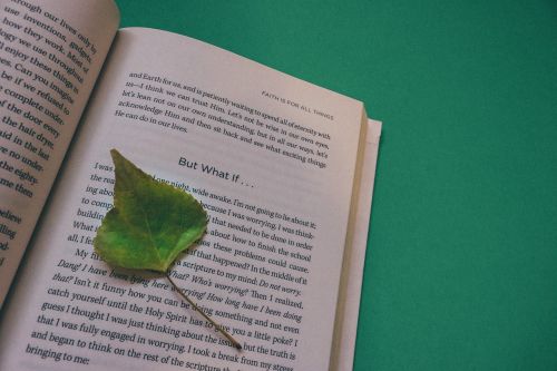book open book leaf
