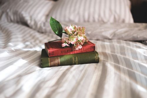 books reading bedroom