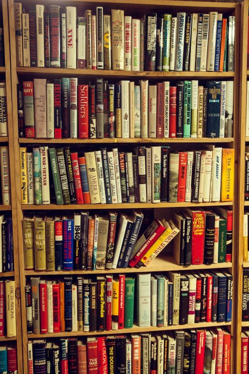 books bookshelf bookstore
