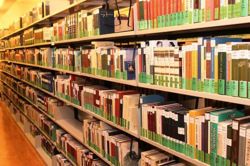 books library bookshelf