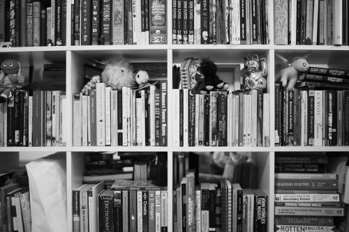 books house shelf