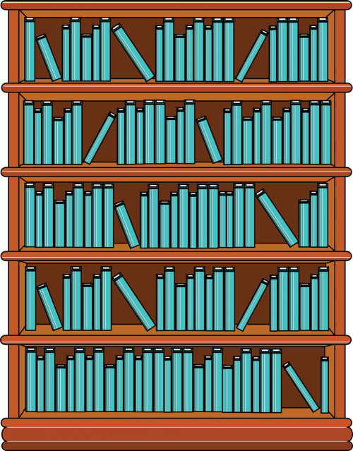 bookshelf books library