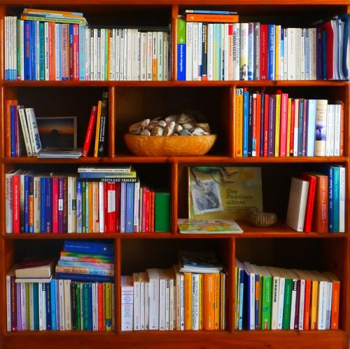 bookshelf books profession