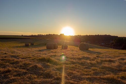 boot  fields  sunset