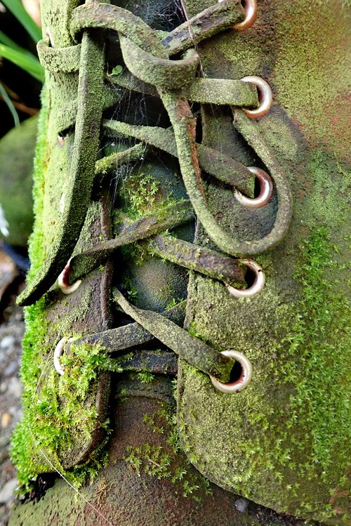 boot  old  moss