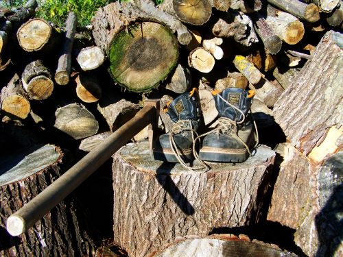 boots wood-cutting stumps
