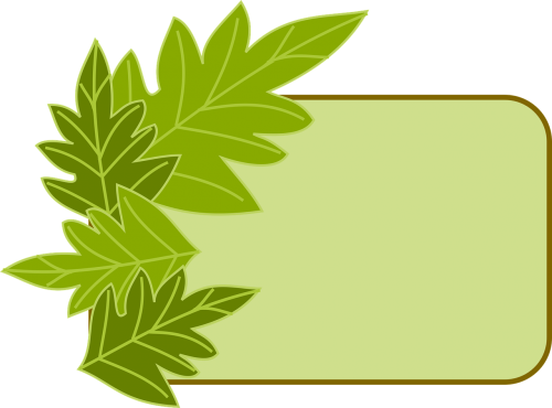 border green leaves