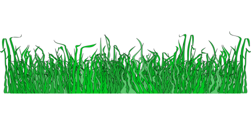 border divider grass