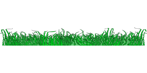 border divider grass