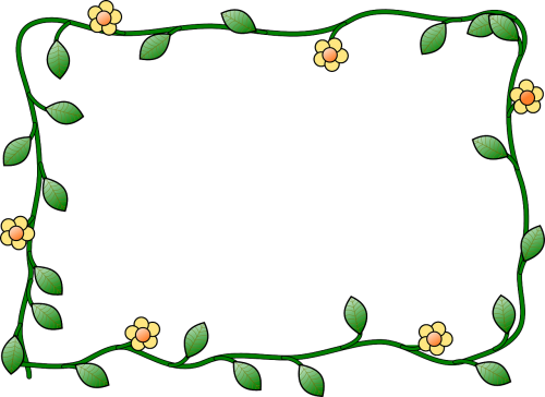 border flower plant