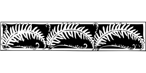 border fern decoration