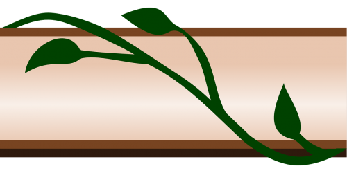 border ivy floral