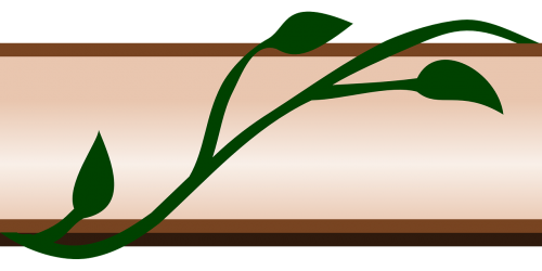 border ivy flora