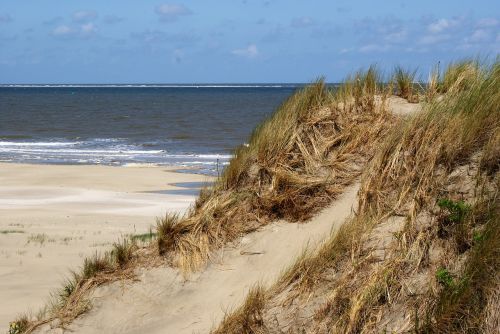 borkum north sea beach